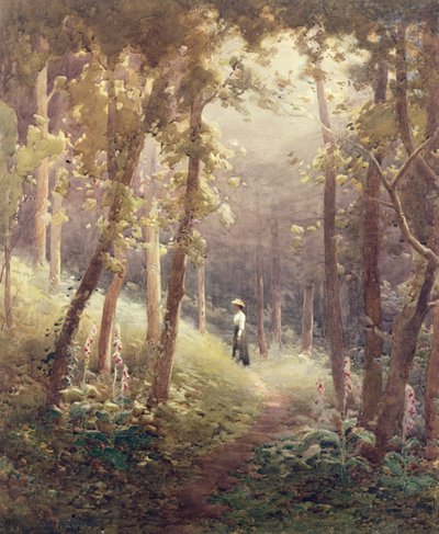 A Woodland Glade by John Farquharson
